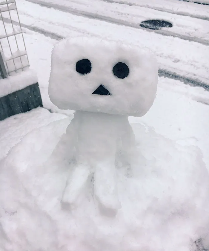 What Happens When Heavy Snowfall Hits Japan