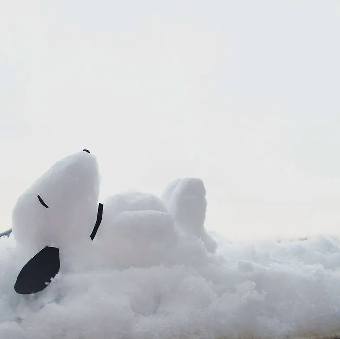 What Happens When Heavy Snowfall Hits Japan