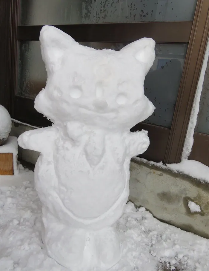 What Happens When Heavy Snowfall Hits Japan