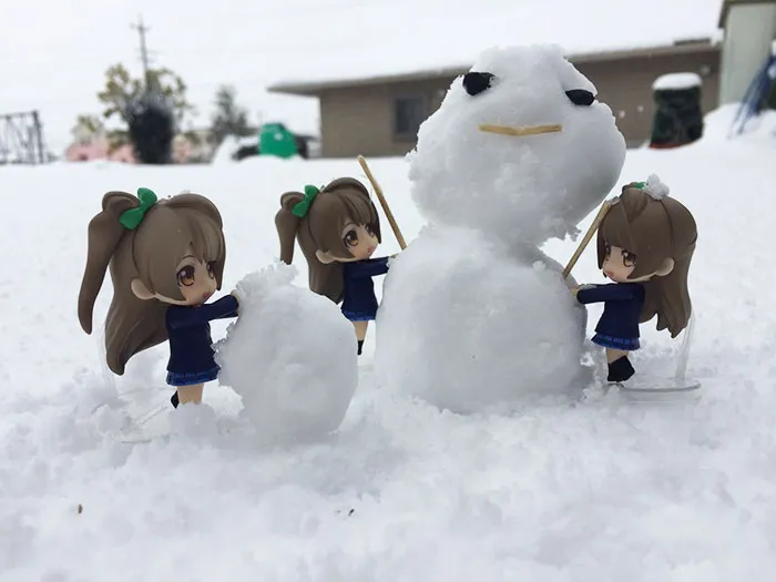 What Happens When Heavy Snowfall Hits Japan