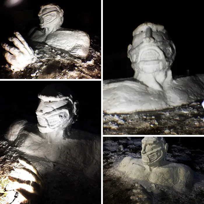 What Happens When Heavy Snowfall Hits Japan
