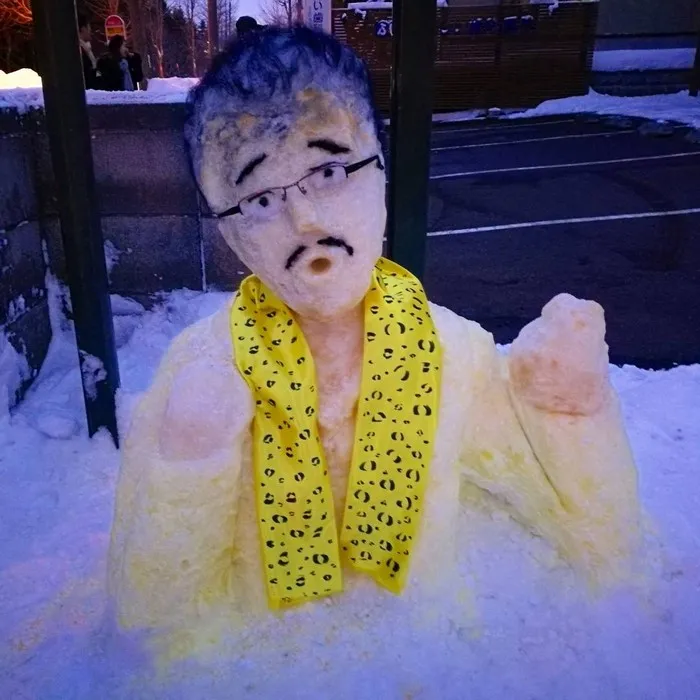 What Happens When Heavy Snowfall Hits Japan