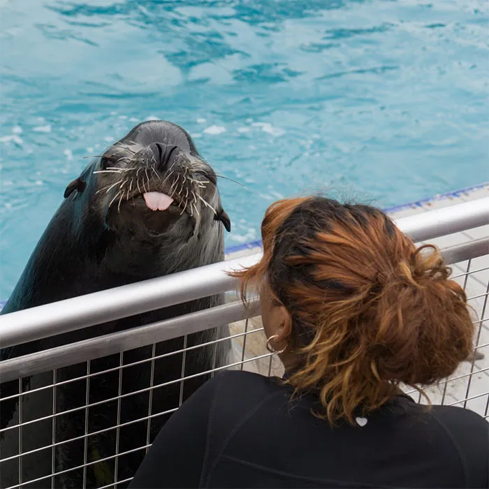 175 Of The Most Adorable Animal Mlems" Ever"