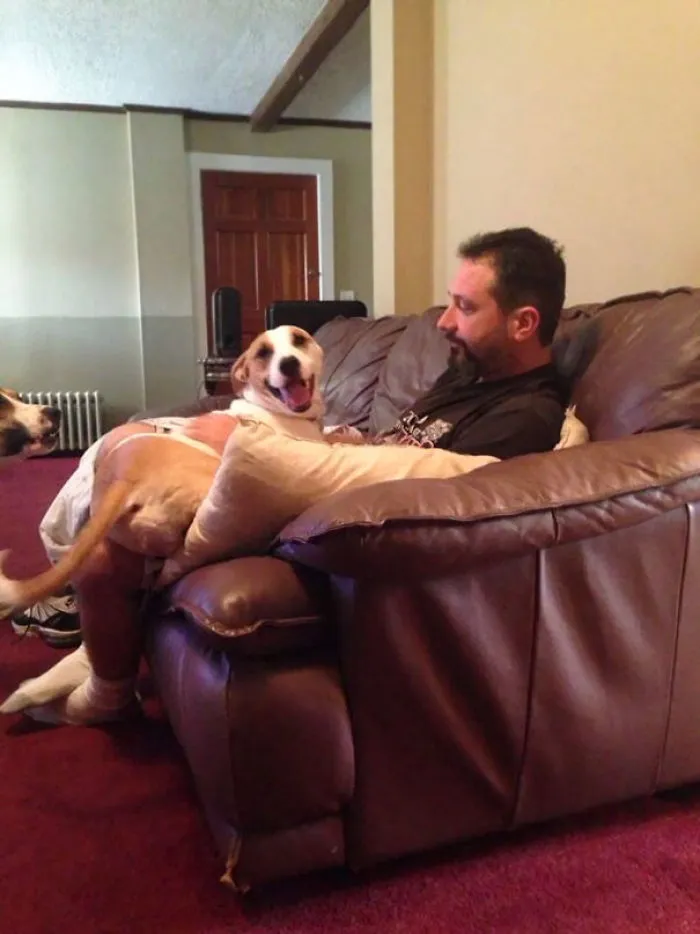 Dad Tries To Say He Doesn't Like The Dogs... I Come Downstairs To This