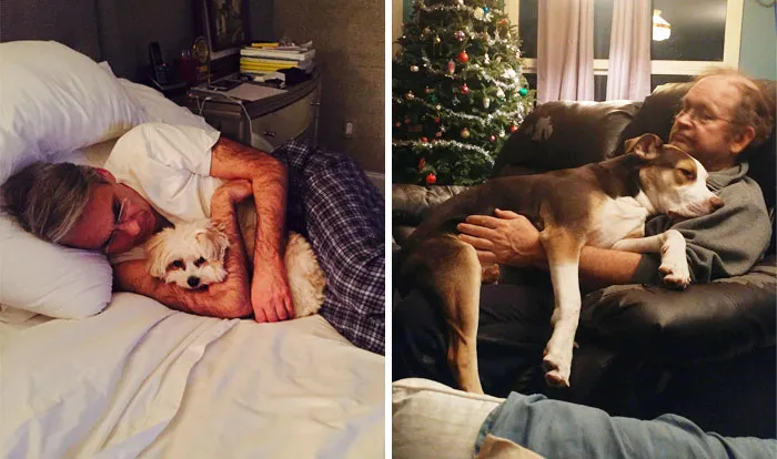 50 Dads Who Didn't Want The Damn Dogs In Their Lives