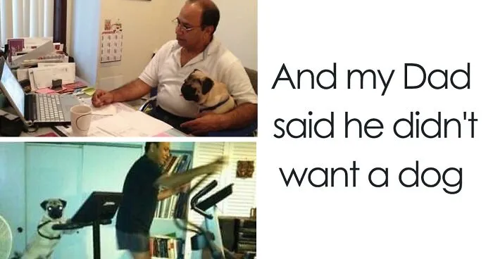 50 Dads Who Didn't Want The Damn Dogs In Their Lives