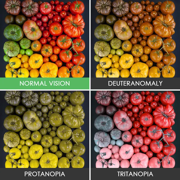 Tomatoes