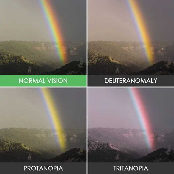 Rainbow