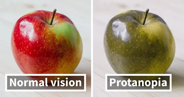 You'll Be Amazed How People With Color Blindness See The World (57 Pics)