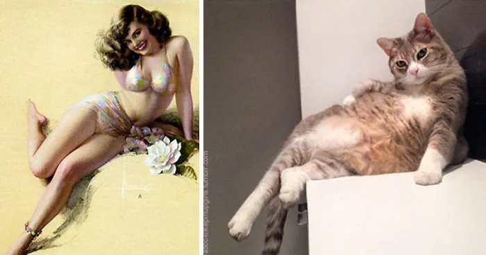 15 Gatos posando como chicas pin-up