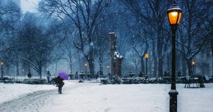 New York Winter Wonderland
