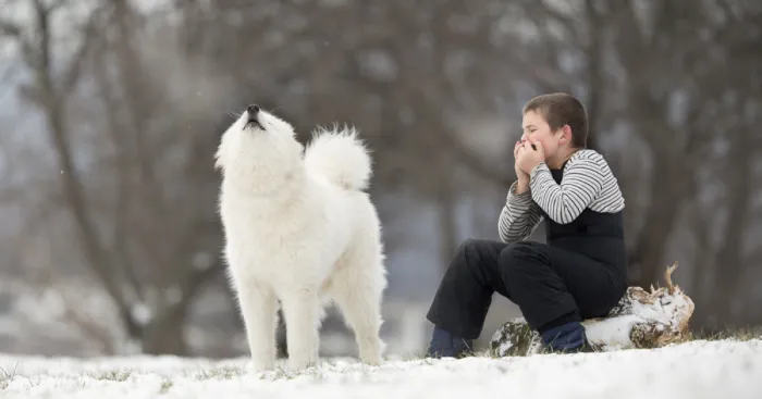 He Sat Alone In The Softly Falling Snow Until His Best Friend Heard Him