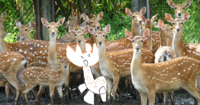 I Photoshop Kids' Drawings Into Real Life