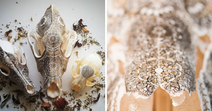Passion In Her Bones: Artist Uses Skulls As Therapeutic Canvases