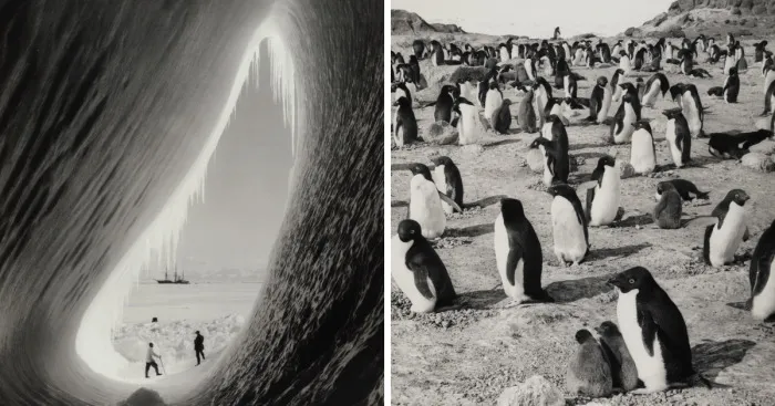 Fatal 1912 Scott's Expedition To The South Pole Documented By Henry Robertson Bowers