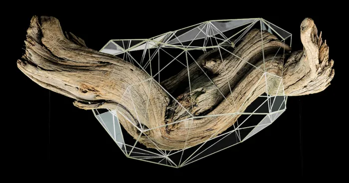 I Encapsulate Driftwoods With Little Floating Glass Architectures That Look Like Computerized Chrysalis