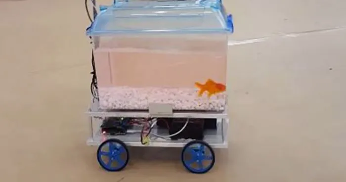 This Fish Can Decide Where To Go By Controlling Its Robotic Fish Tank