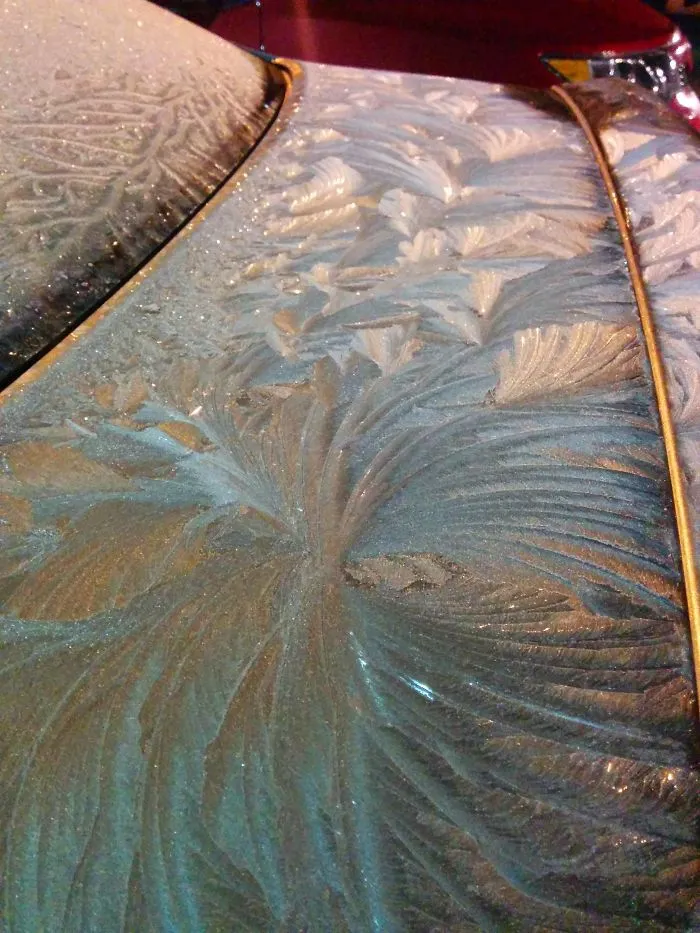 My Whole Car Was Covered Like This