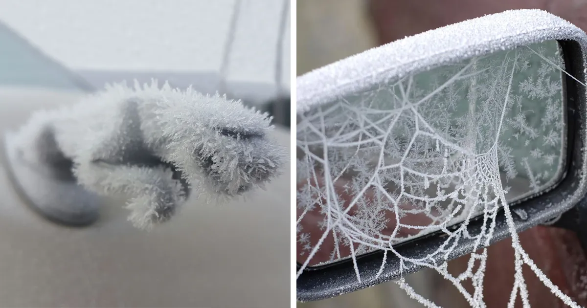 18 Coches que el invierno transformó en arte