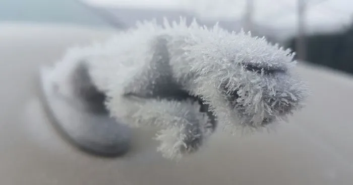 55 Times Winter Turned Cars Into Art