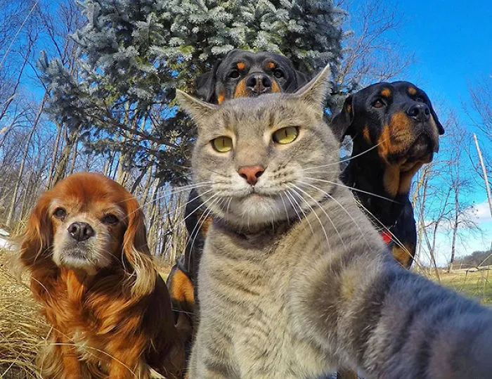 Selfie With The Crew