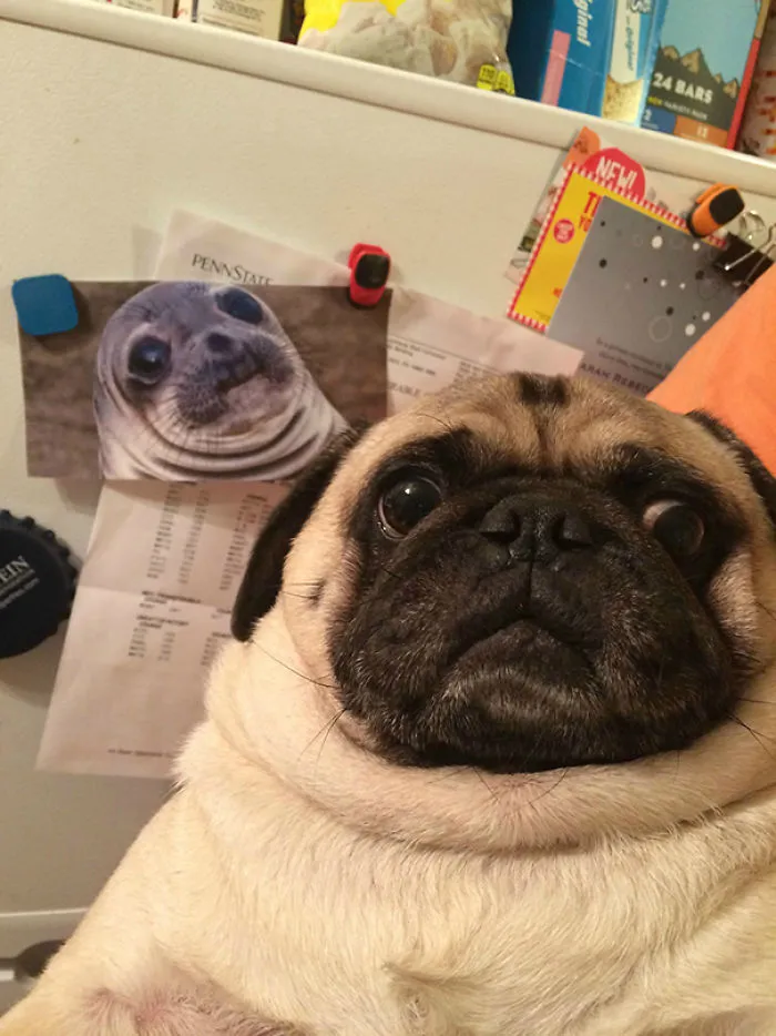 Who Wore It Better Wednesday