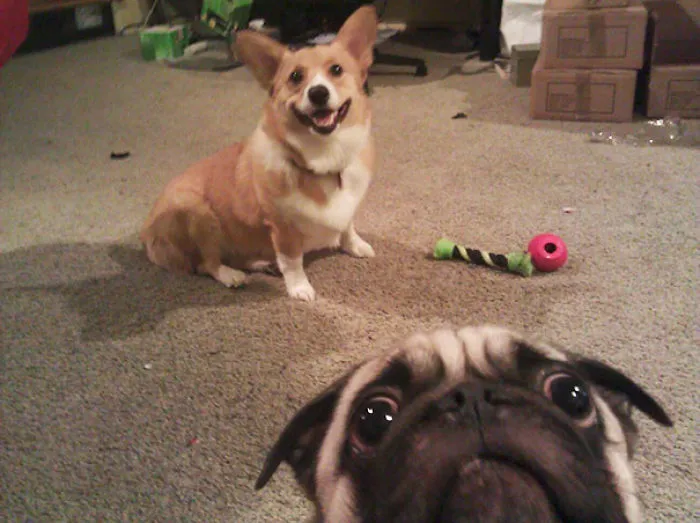 Selfie Level: Highly Concerned