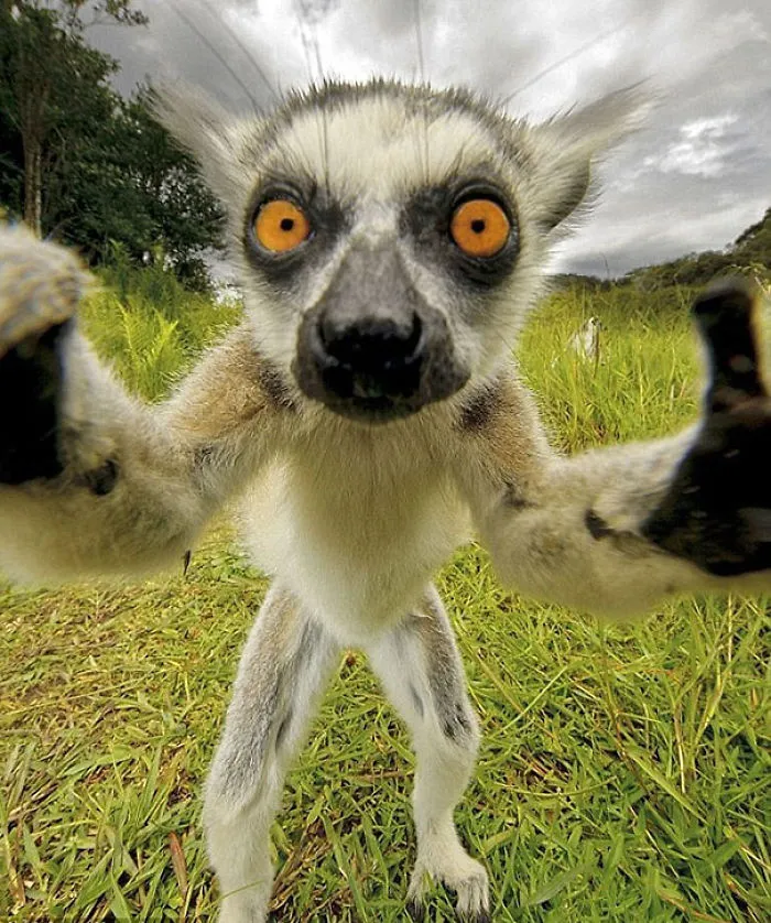 Selfie Time