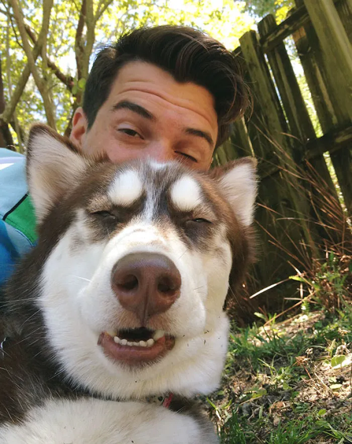 Tried To Take A Selfie With My Dog. Turned Out Great