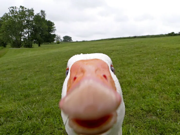 Selfie! Deffo Got My Best Side