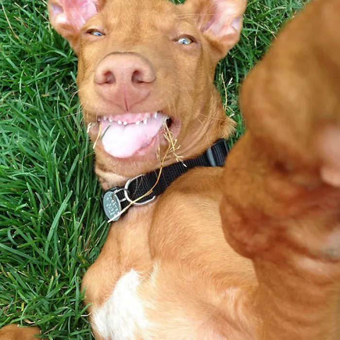 I Found A Series Of Selfies On My Camera. The Milk Teeth Aren't Helping