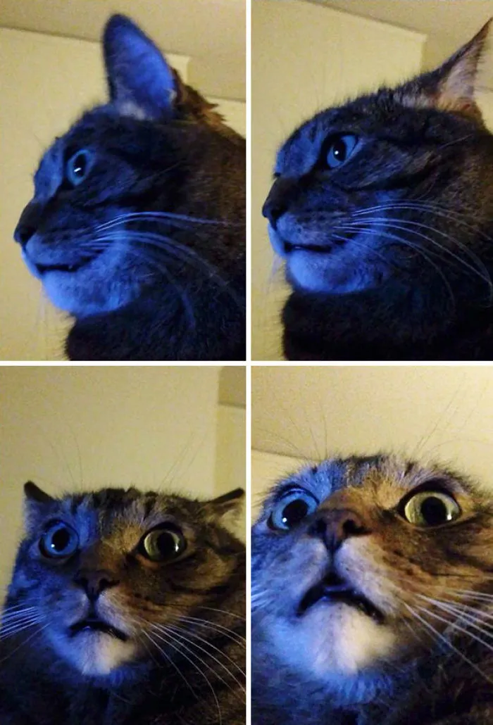 When You Accidentally Open Your Front Camera