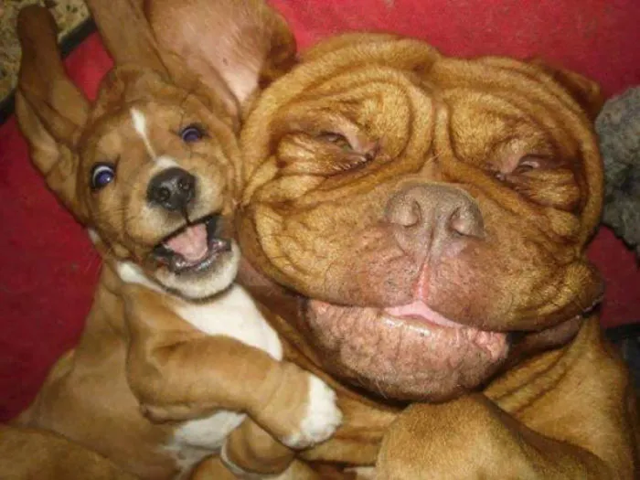 Smile!