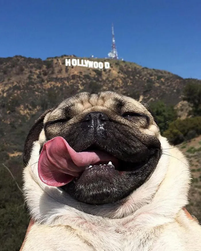 Selfieeee