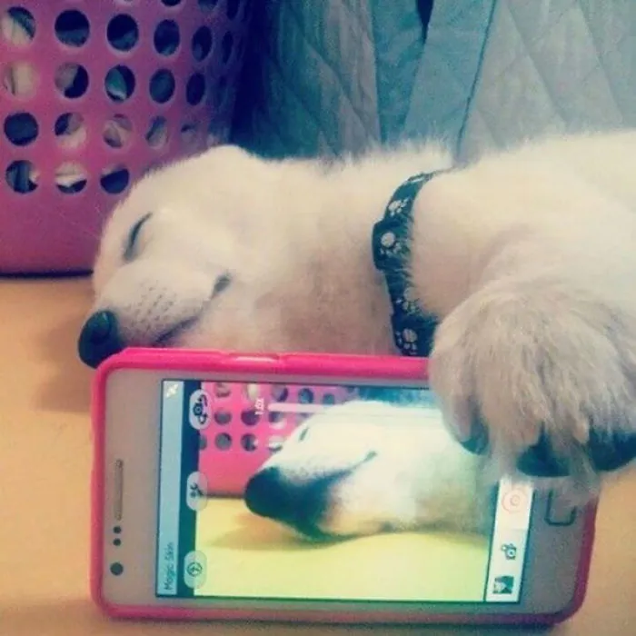 Bae Caught Me Slippin
