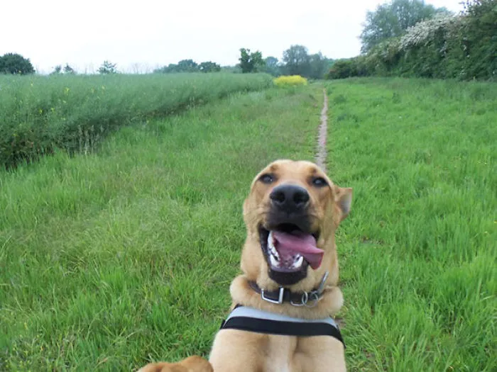 A Great Selfie From My Girlfriend's Dog