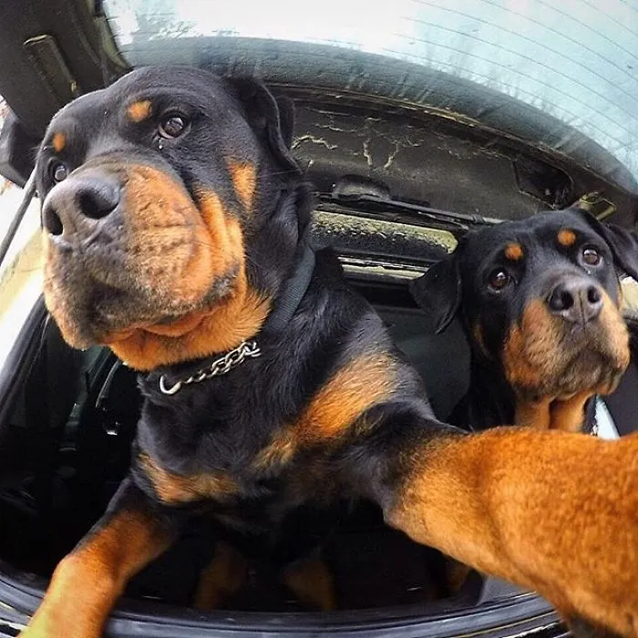 Selfie Time