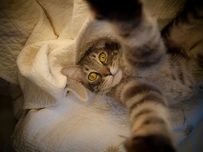 Takin' A Selfie
