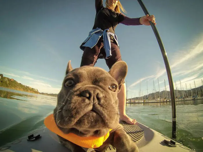 Best Selfie Ever