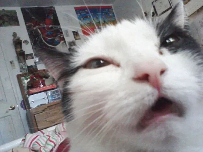 Monday Morning Selfie