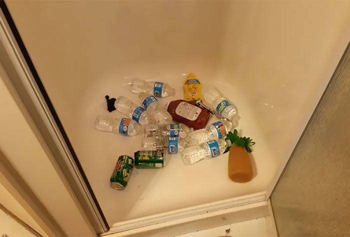 My Girlfriend Told Me The Water Wasn't Going Down In The Shower. So I Went To Investigate. This Is What I Found