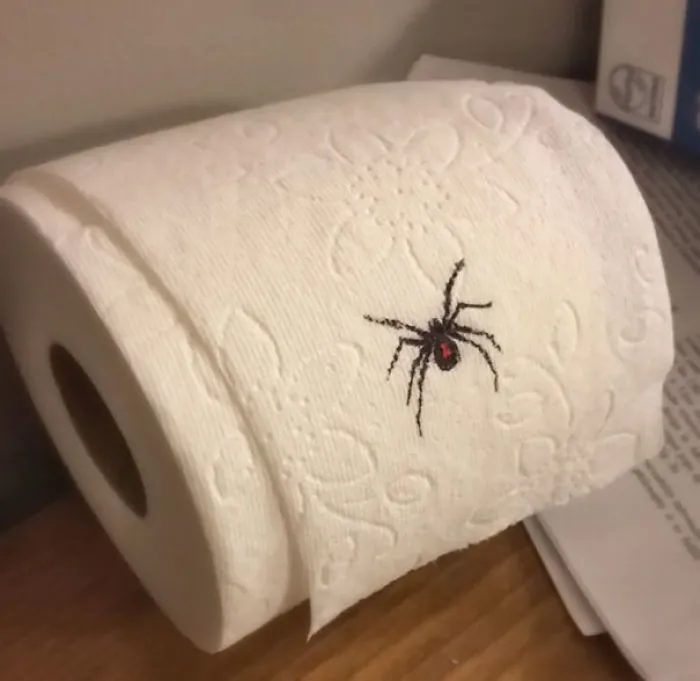Waiting On My Wife To Find This Work Of Art