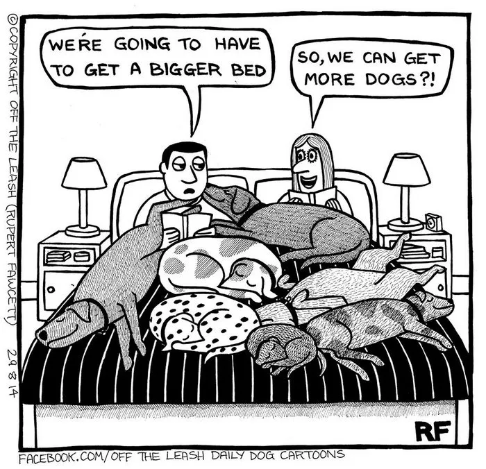 94 Hilarious Comics About Life With Dogs By "Off The Leash"
