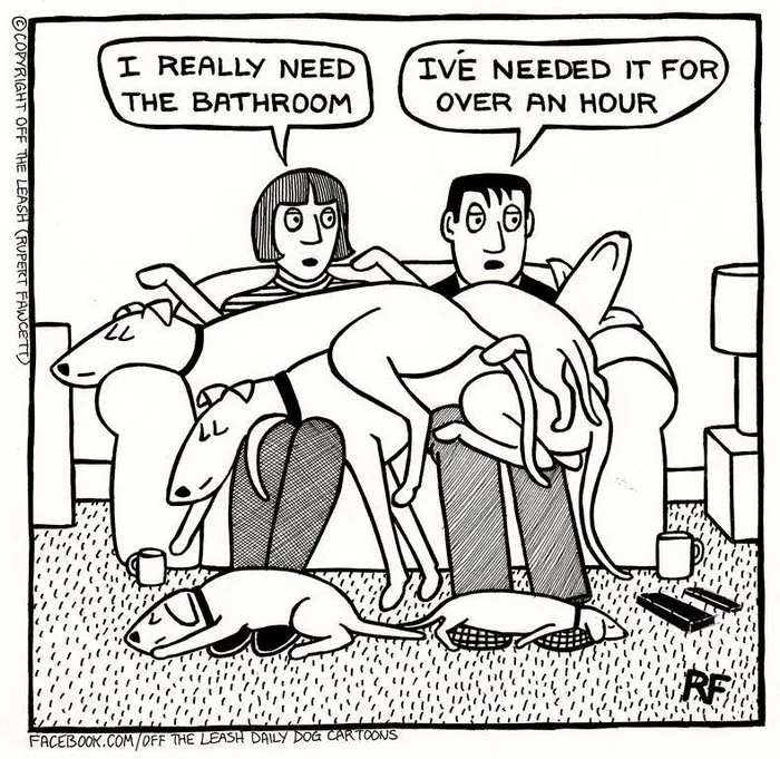 94 Hilarious Comics About Life With Dogs By "Off The Leash"