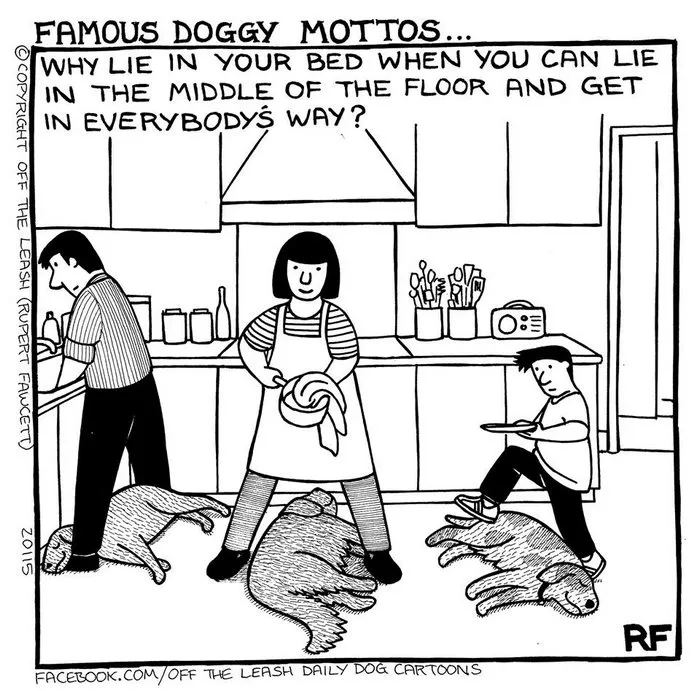 94 Hilarious Comics About Life With Dogs By "Off The Leash"