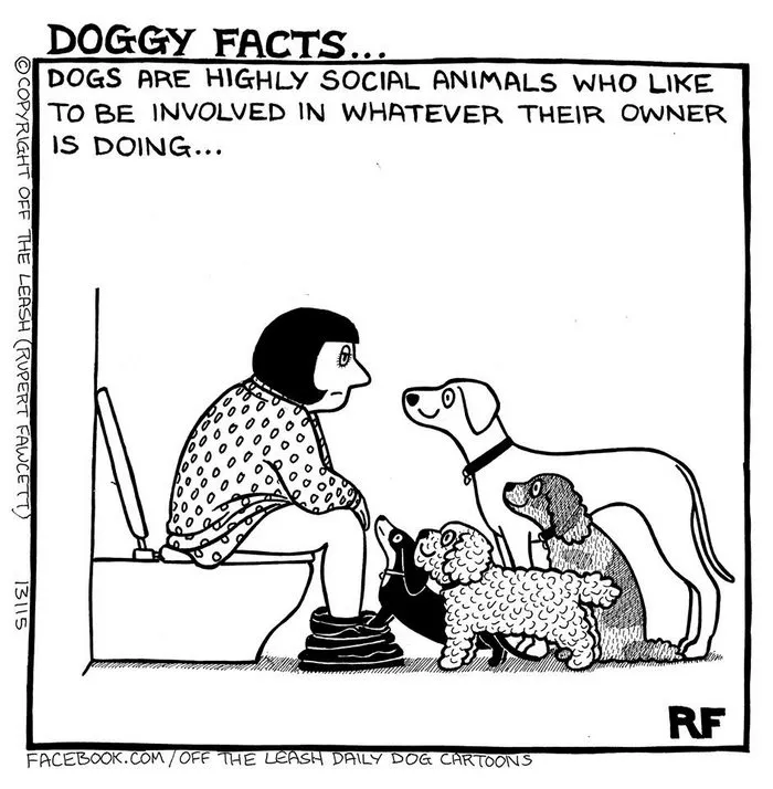 94 Hilarious Comics About Life With Dogs By "Off The Leash"