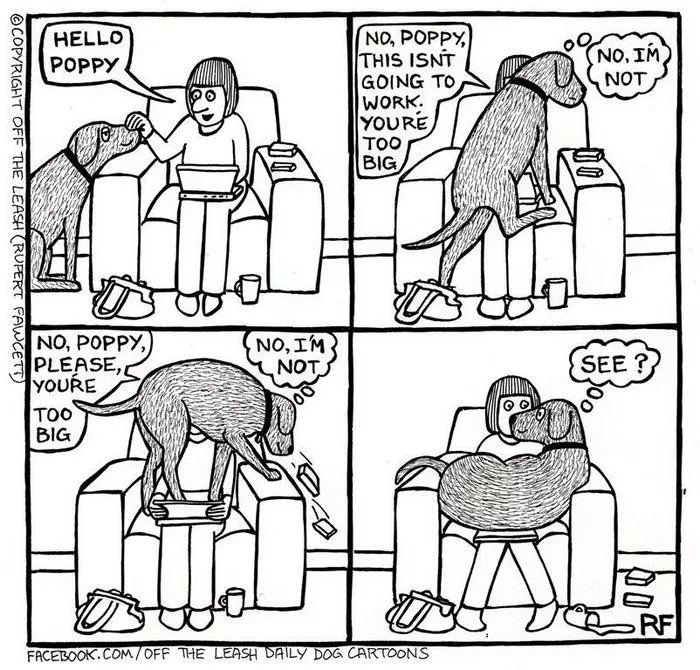 94 Hilarious Comics About Life With Dogs By "Off The Leash"