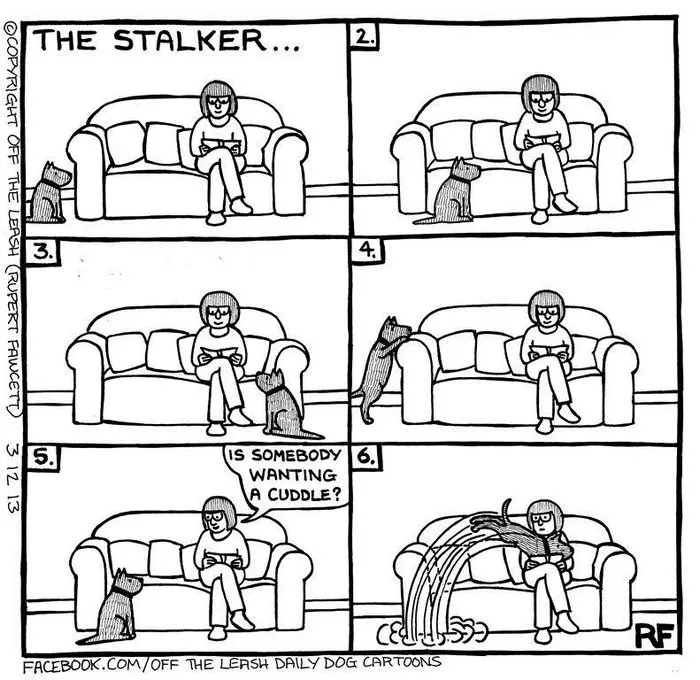 94 Hilarious Comics About Life With Dogs By "Off The Leash"