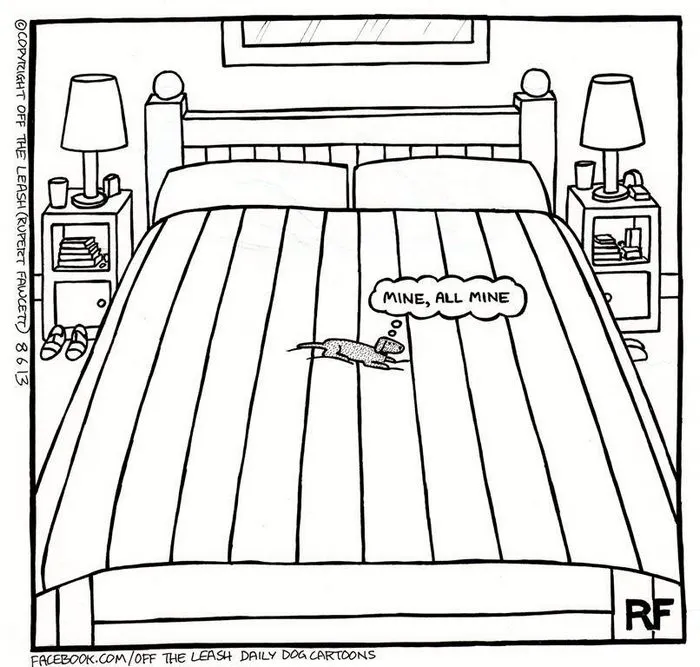 94 Hilarious Comics About Life With Dogs By "Off The Leash"
