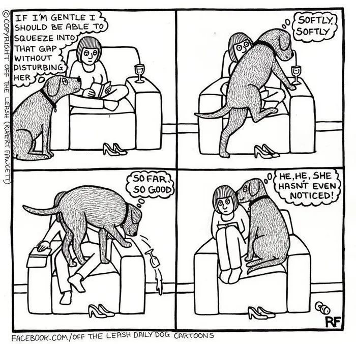 94 Hilarious Comics About Life With Dogs By "Off The Leash"